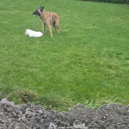 Wild Atlantic * Sligo