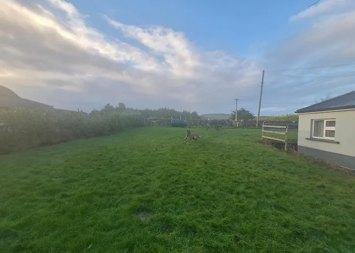 Wild Atlantic * Sligo